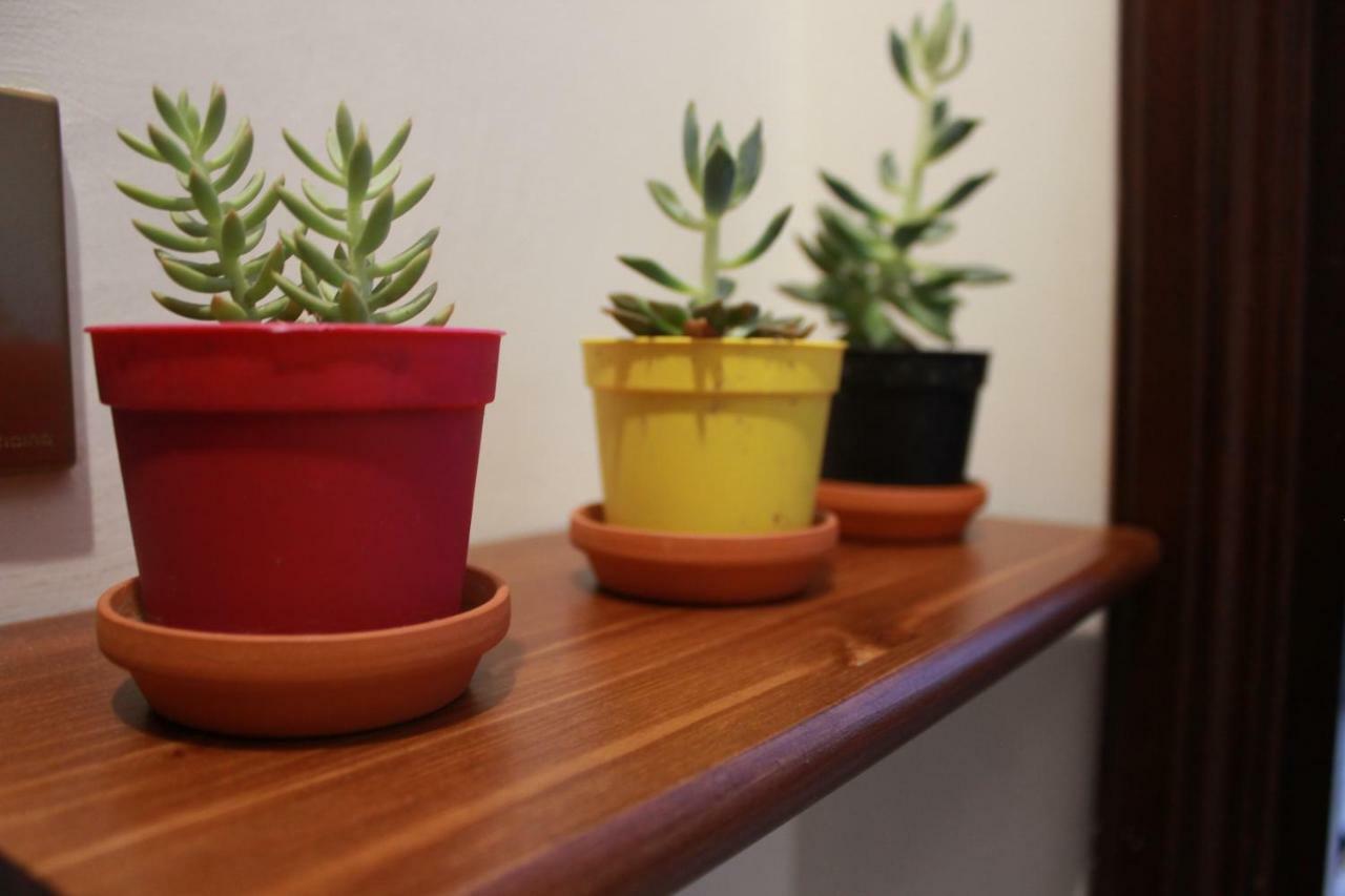 Biancocancello Sacrofano Ngoại thất bức ảnh